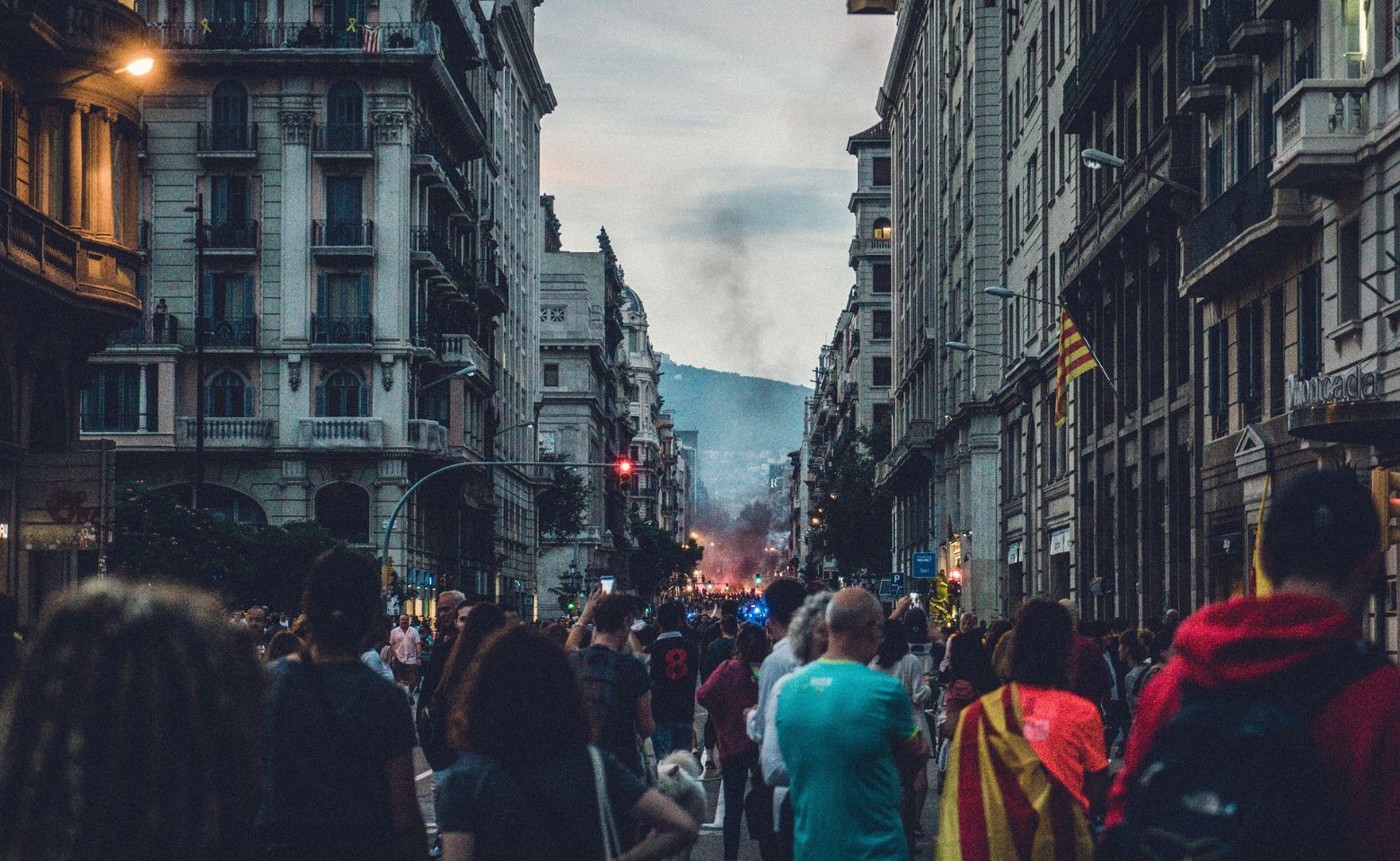 Image by Jorge Franganillo from Pixabay (10) Image by Jorge Franganillo from Pixabay (10)